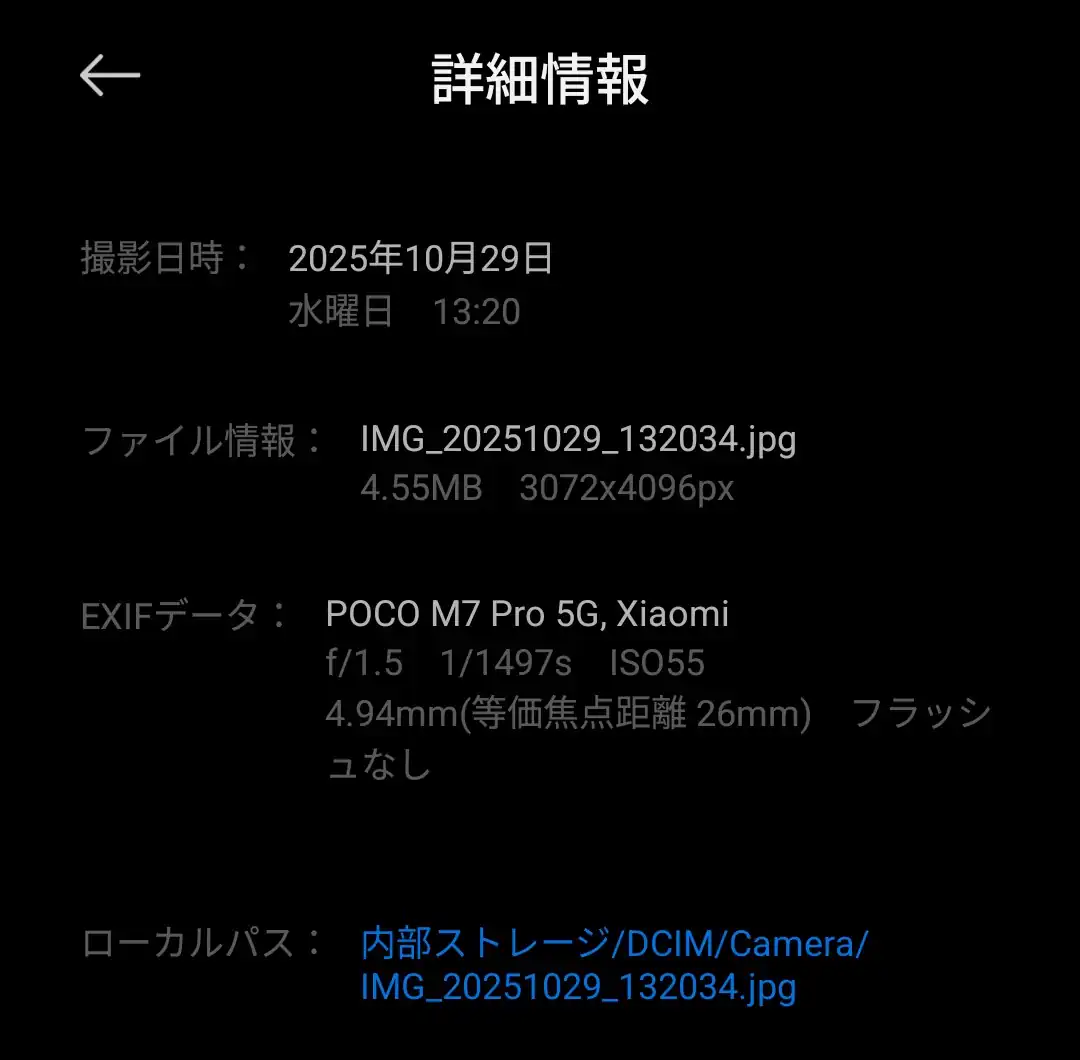 ネコの無圧縮画像の情報